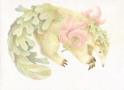 Blossom Anteater